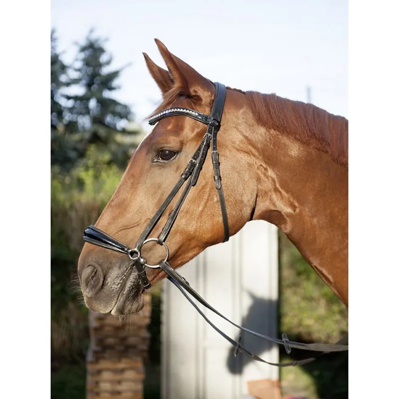 HKM Carolin Drop Bridle in Black